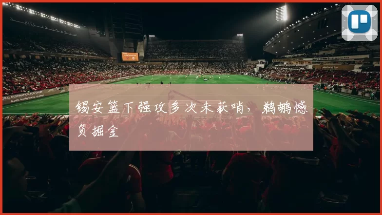 锡安篮下强攻多次未获哨,鹈鹕憾负掘金