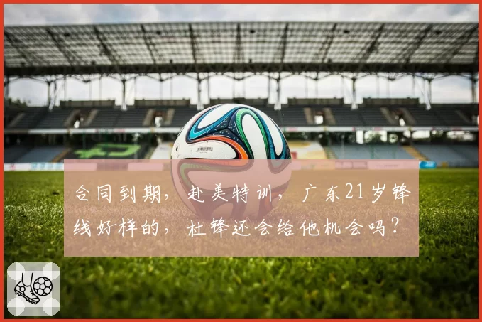 合同到期,赴美特训,广东21岁锋线好样的,杜锋还会给他机会吗?