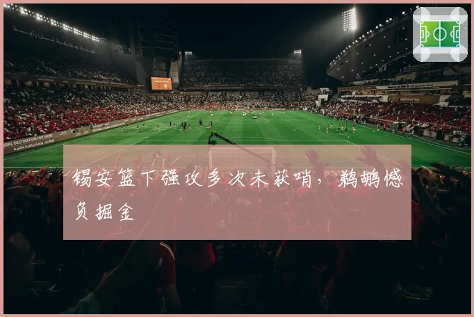 锡安篮下强攻多次未获哨，鹈鹕憾负掘金